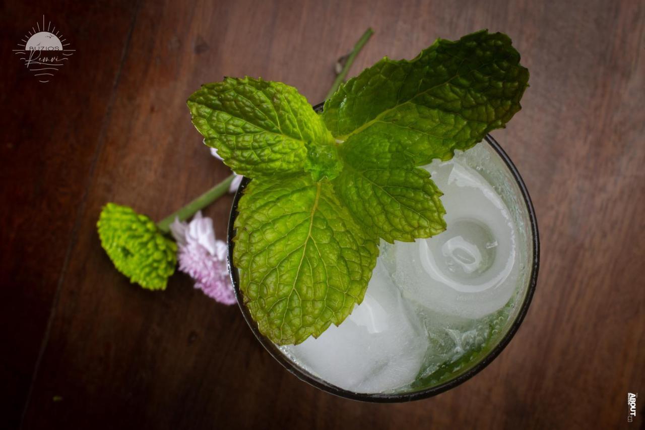 Pousada Praia Joao Fernandes Búzios Екстериор снимка Mint leaves in a drink